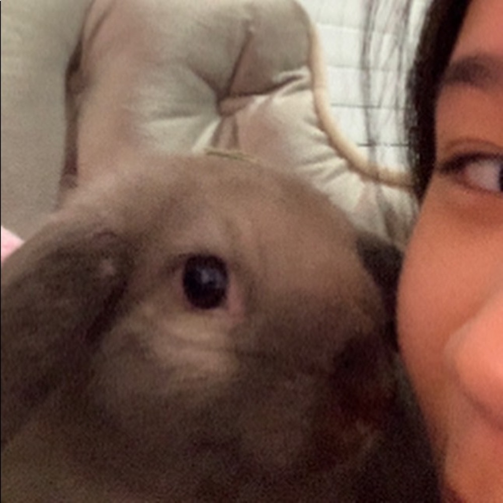 Meet your Posher, Reira